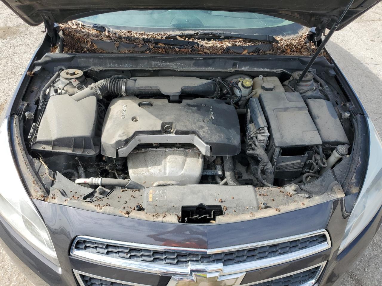 1G11B5SA9DF346299 2013 Chevrolet Malibu Ls