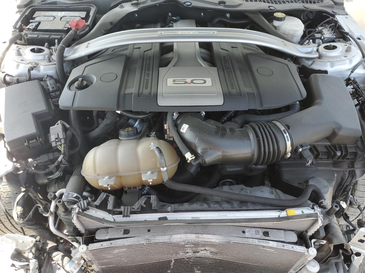 1FATP8FFXK5172213 2019 Ford Mustang Gt