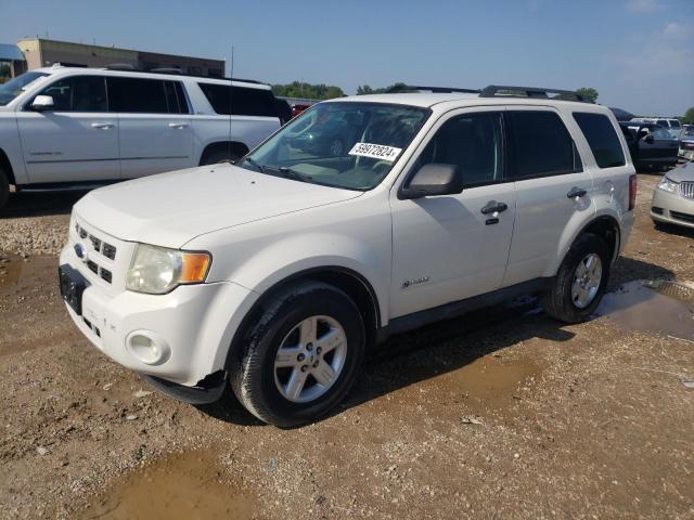 2010 FORD ESCAPE HYBRID 2010