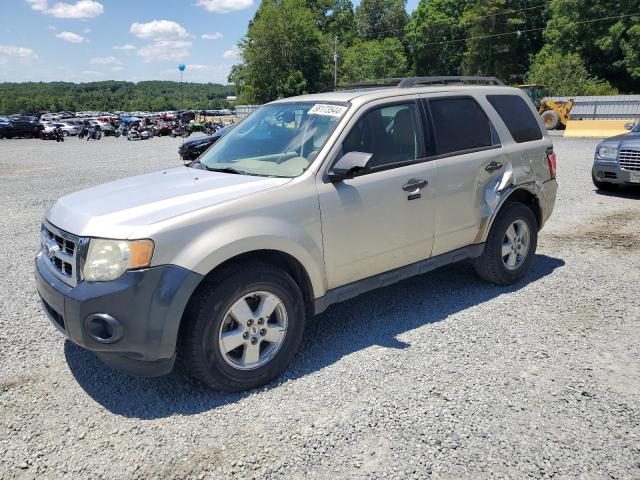 Vin: 1fmcu0d78aka52485, lot: 58173544, ford escape xlt 2010 img_1
