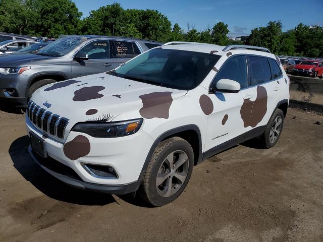 2019 Jeep Cherokee Limited VIN: 1C4PJMDX6KD360881 Lot: 58272194