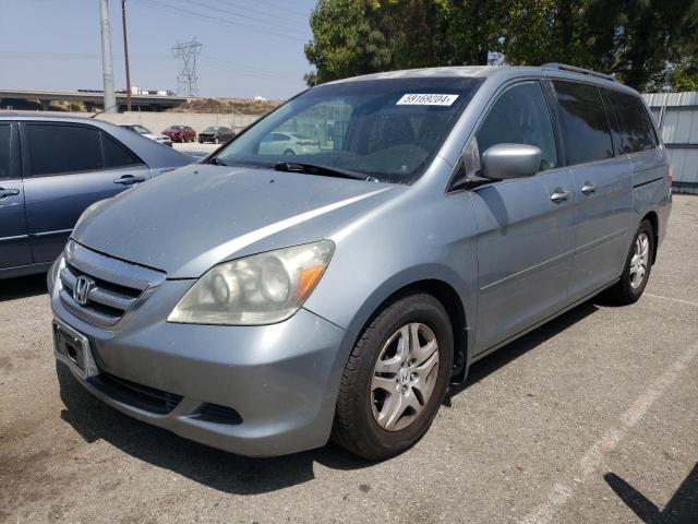 2007 Honda Odyssey Ex VIN: 5FNRL38477B045598 Lot: 59169204