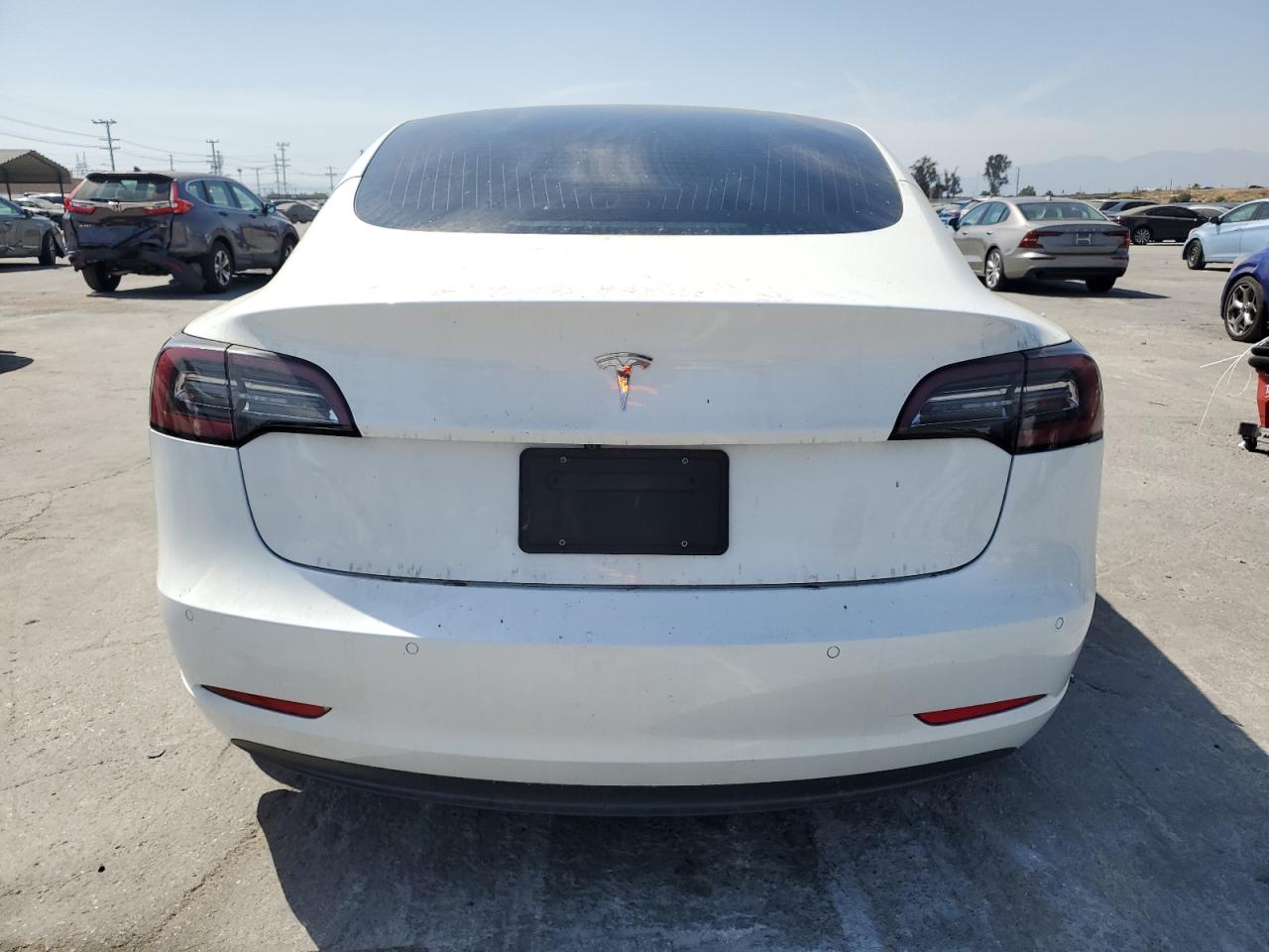 Lot #2987033789 2020 TESLA MODEL 3