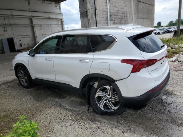 2023 Hyundai Santa Fe Sel VIN: 5NMS24AJXPH519522 Lot: 57205634