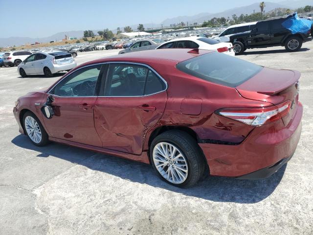 VIN 4T1B21HK7KU521304 2019 Toyota Camry, Hybrid no.2