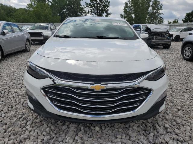 2019 Chevrolet Malibu Lt VIN: 1G1ZD5ST8KF119651 Lot: 57770764