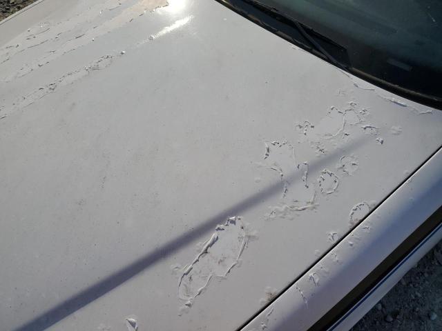 2007 Ford Crown Victoria Police Interceptor VIN: 2FAFP71W47X111427 Lot: 59635684