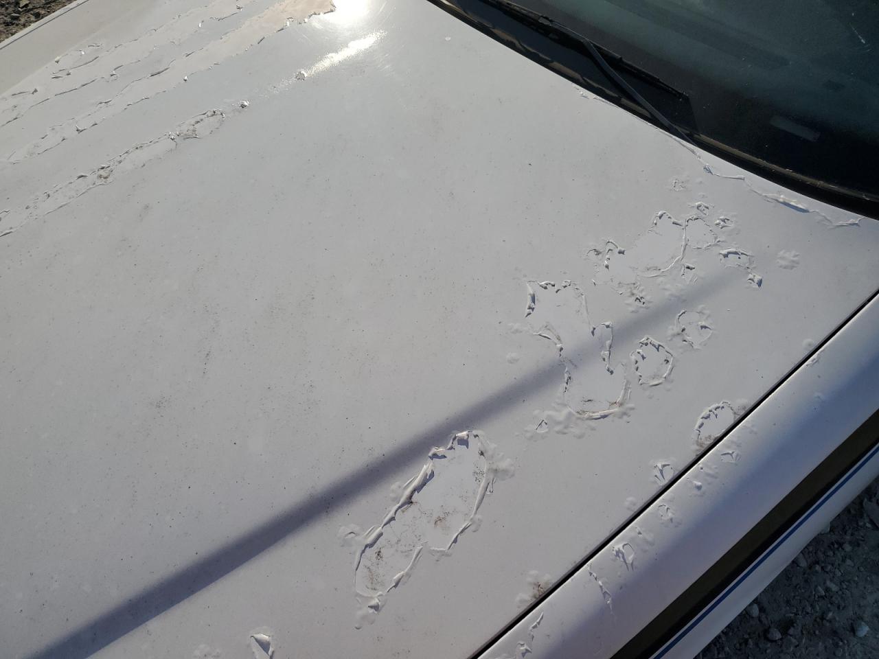 2FAFP71W47X111427 2007 Ford Crown Victoria Police Interceptor