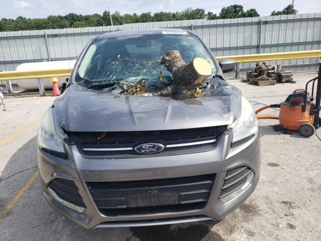 VIN 1FMCU0GX1DUC12582 2013 Ford Escape, SE no.5