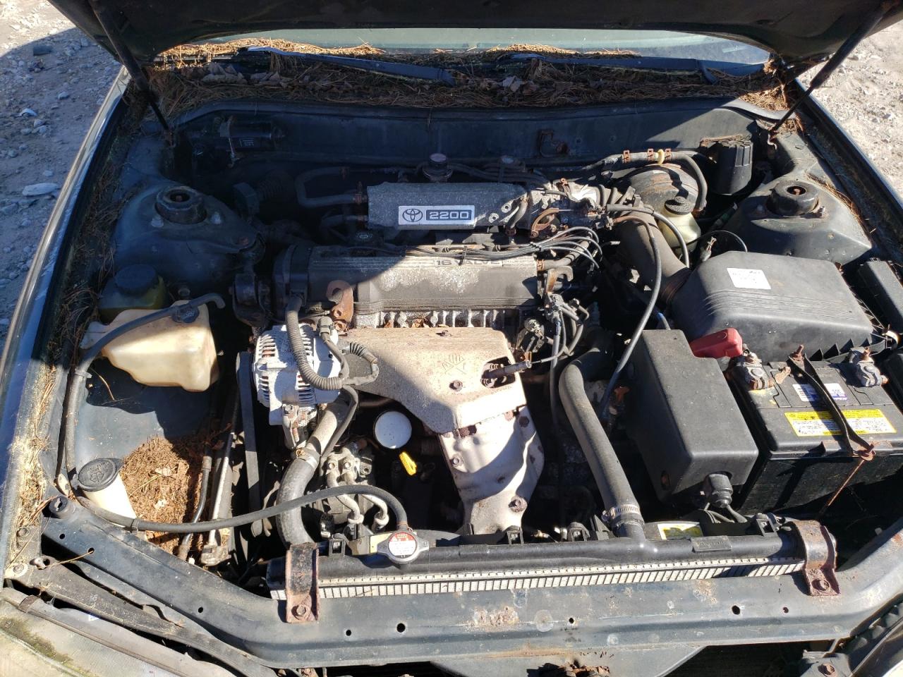 4T1SK12E1SU604116 1995 Toyota Camry Le