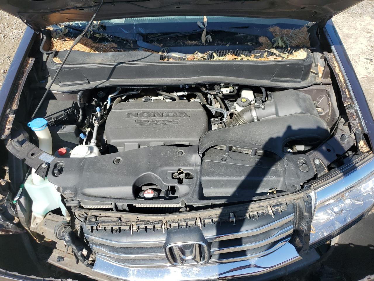 5FNYF4H74DB066469 2013 Honda Pilot Exln