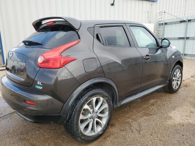 2013 Nissan Juke S VIN: JN8AF5MR3DT209203 Lot: 57473934