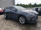 LEXUS NX 350 photo