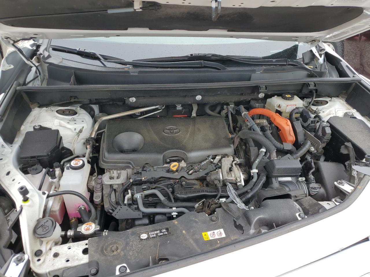 4T3RWRFV5MU013017 2021 Toyota Rav4 Xle