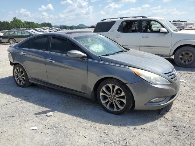 2013 Hyundai Sonata Se VIN: 5NPEC4AB8DH745401 Lot: 60200204