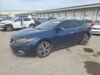 2017 NISSAN MAXIMA 3.5 - 1N4AA6AP8HC424171
