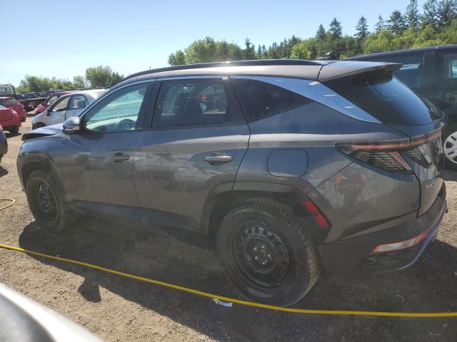 2023 HYUNDAI TUCSON LUX - KM8JCCA12PU130350