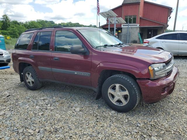 2004 Chevrolet Trailblazer Ls VIN: 1GNDT13S942428789 Lot: 57078644