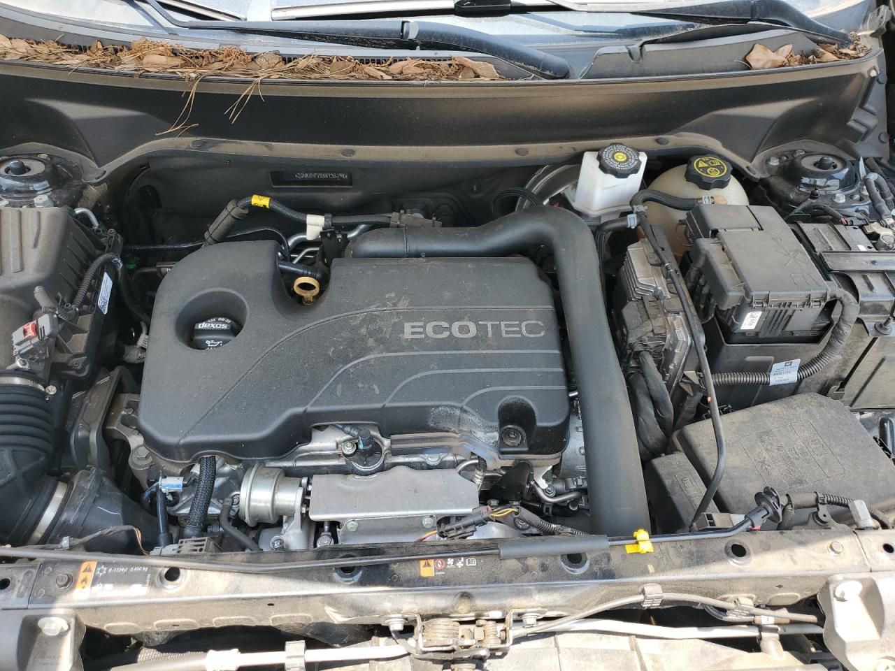 2GNAXHEV8K6136798 2019 Chevrolet Equinox Ls