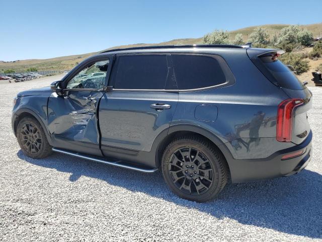 2021 Kia Telluride Sx VIN: 5XYP5DHCXMG185003 Lot: 59153344