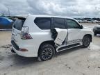 LEXUS GX 460 photo