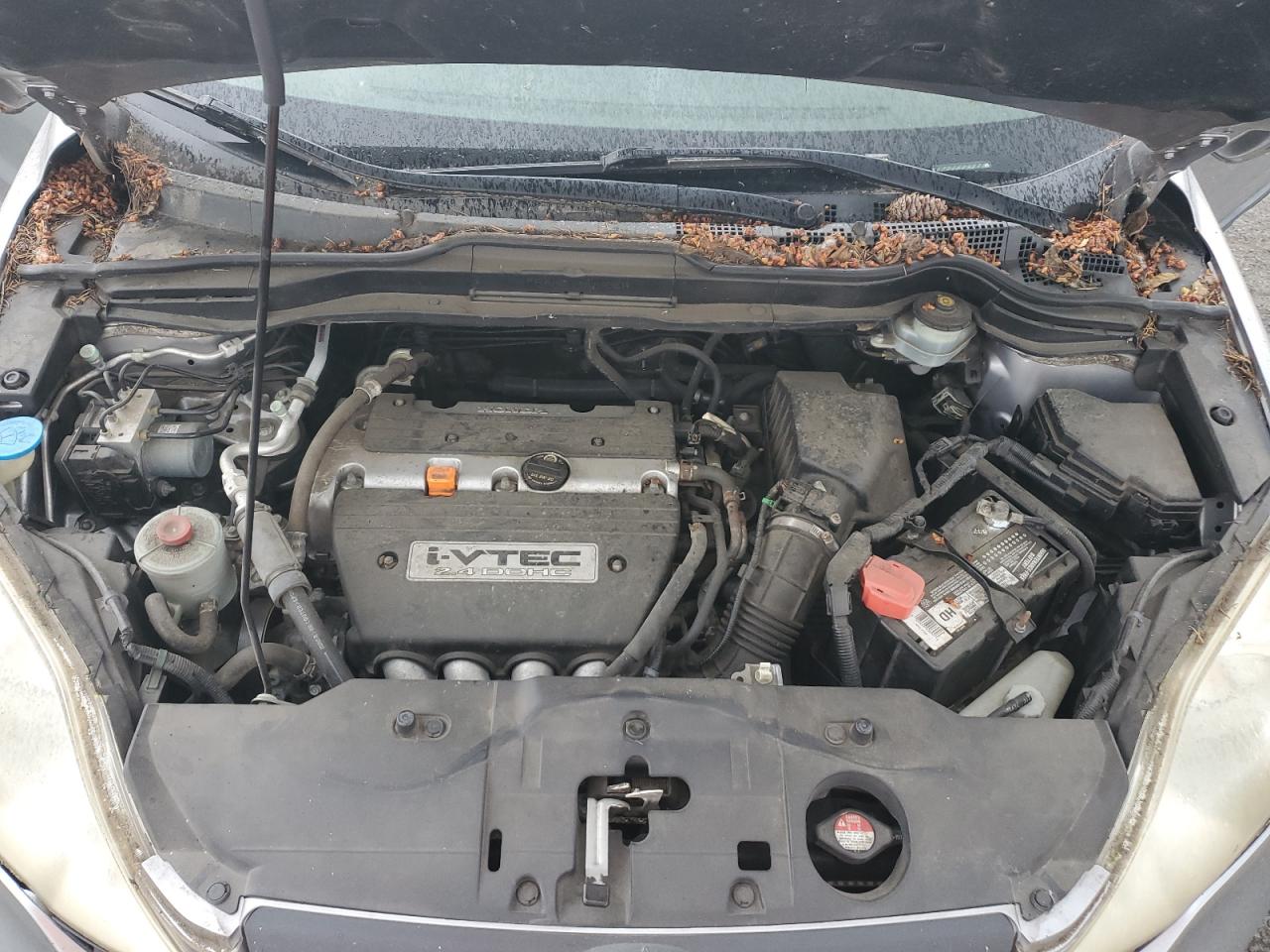 JHLRE383X7C013441 2007 Honda Cr-V Lx