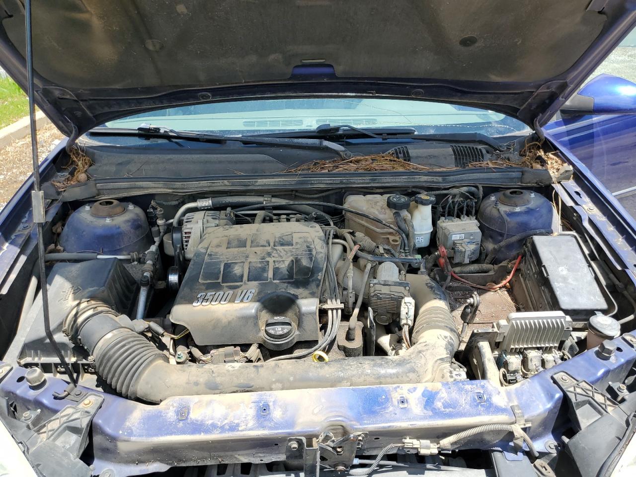 1G1ZT51846F226833 2006 Chevrolet Malibu Lt