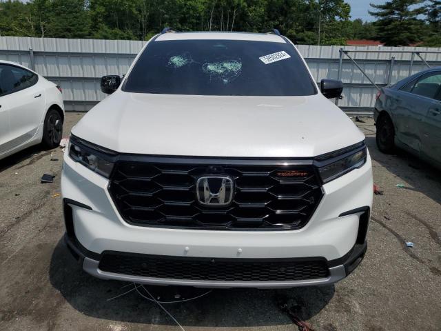 2024 HONDA PILOT TRAI 5FNYG1H60RB004755