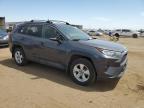 TOYOTA RAV4 XLE photo