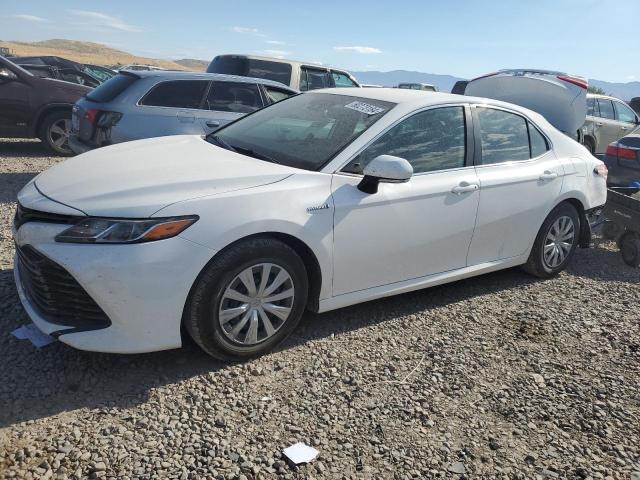 Global Auto Auctions: 2019 TOYOTA CAMRY LE