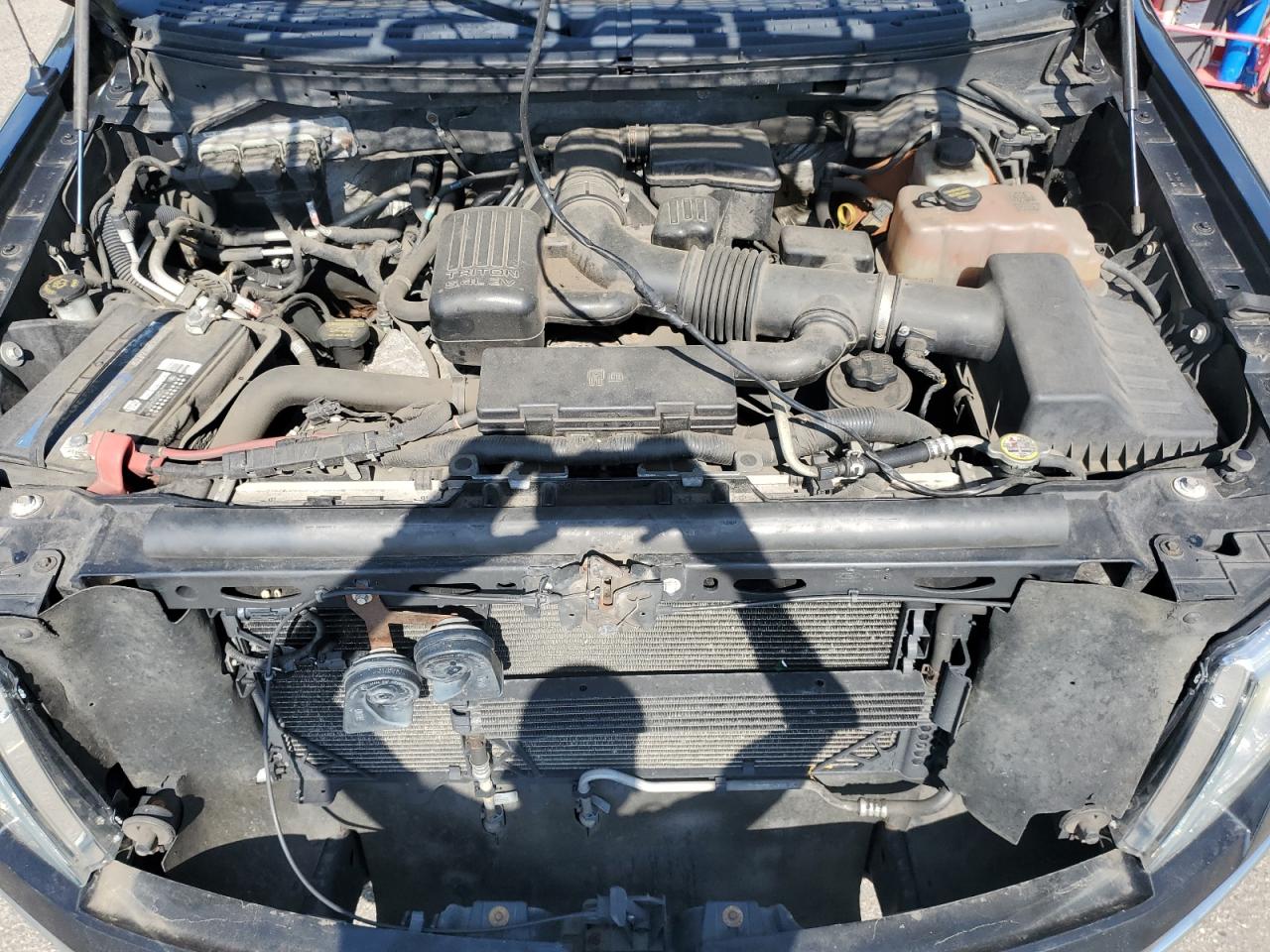 1FTFW1EV6AFB90436 2010 Ford F150 Supercrew