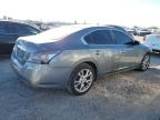 NISSAN MAXIMA S photo