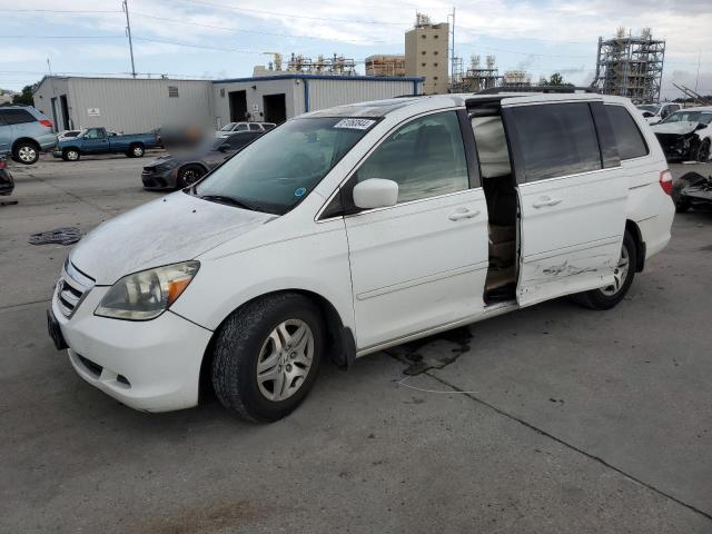 2007 Honda Odyssey Exl VIN: 5FNRL38747B144955 Lot: 61060844