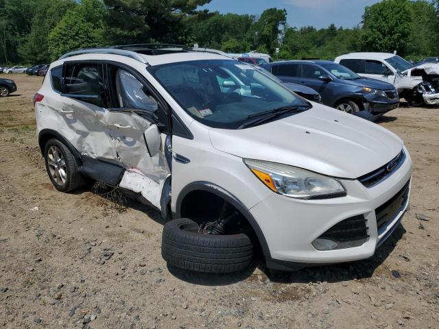 2014 Ford Escape Titanium VIN: 1FMCU9J97EUA65331 Lot: 57385324