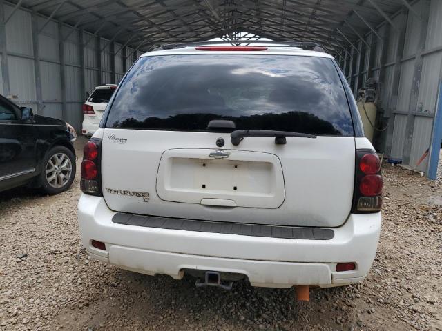 2008 Chevrolet Trailblazer Ls VIN: 1GNDT13SX82246881 Lot: 57148584