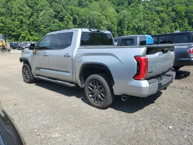 2023 Toyota Tundra Crewmax Platinum VIN: 5TFNA5DB0PX075200 Lot: 57315364