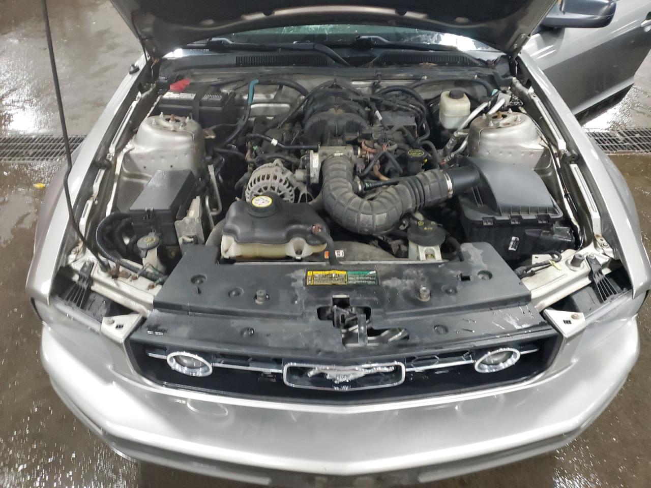 1ZVHT80N585117489 2008 Ford Mustang