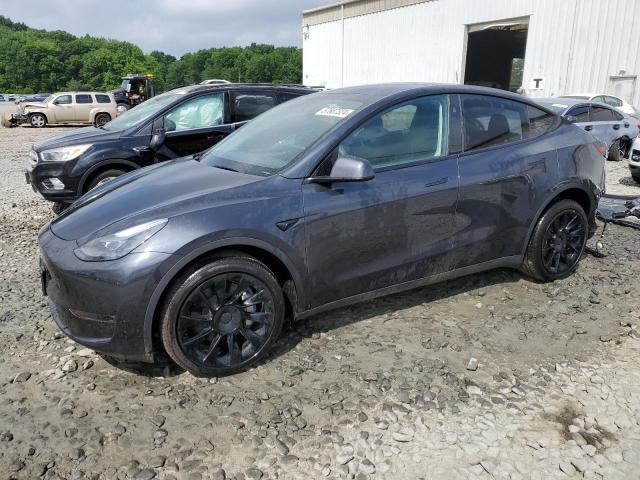 2024 Tesla Model Y VIN: 7SAYGDEE5RF992485 Lot: 57687324