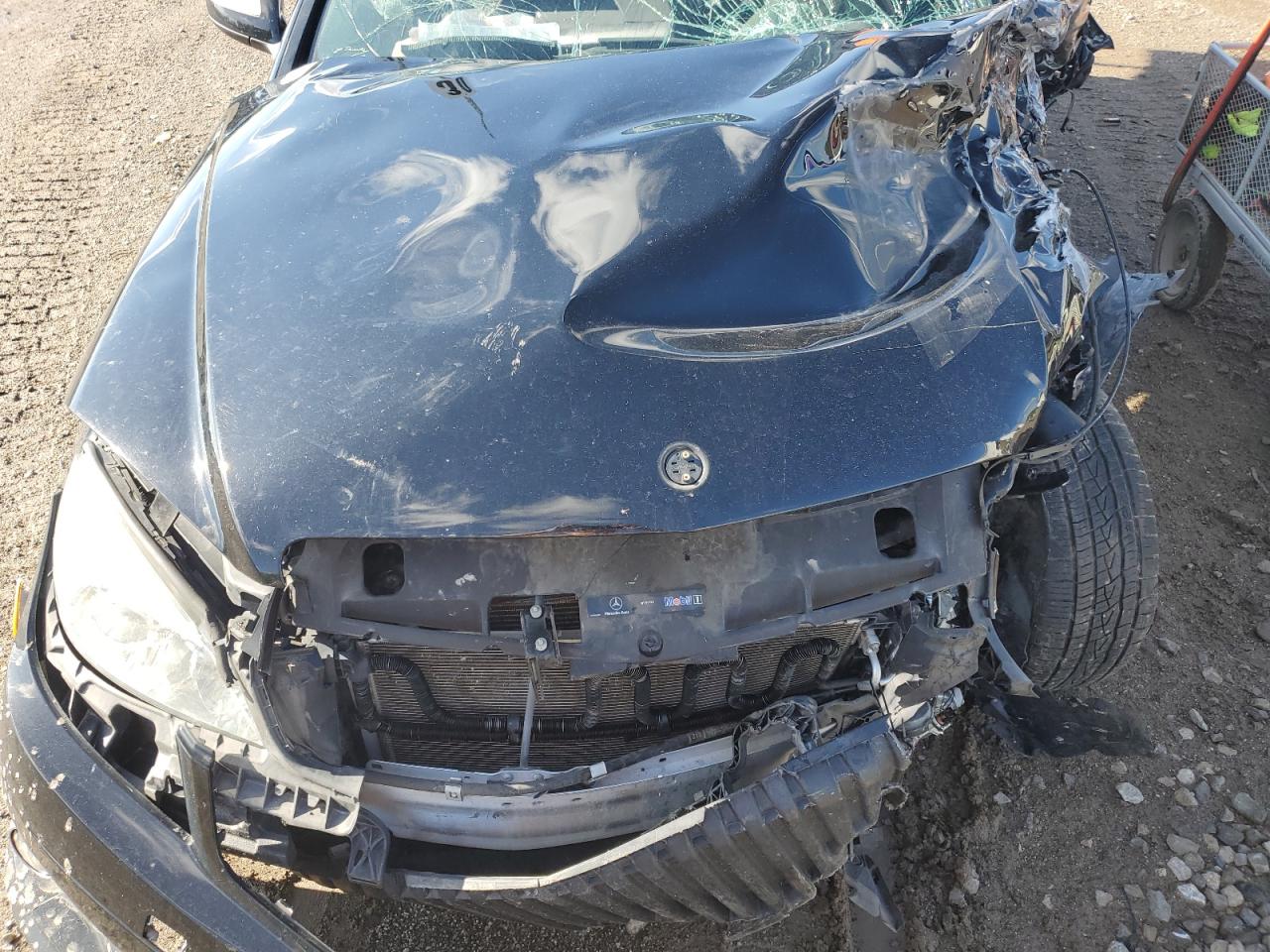 WDDGF81X59F311950 2009 Mercedes-Benz C 300 4Matic