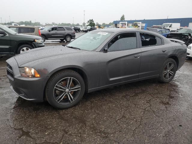 2014 Dodge Charger R/T VIN: 2C3CDXDT2EH248689 Lot: 60285914