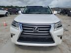 LEXUS GX 460 photo