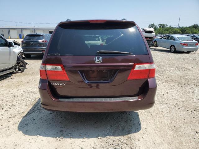 2007 Honda Odyssey Ex VIN: 5FNRL38417B430428 Lot: 60274604