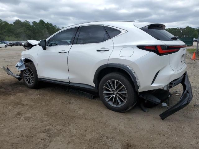 2023 LEXUS NX 350 JTJGGCEZ8P5005024