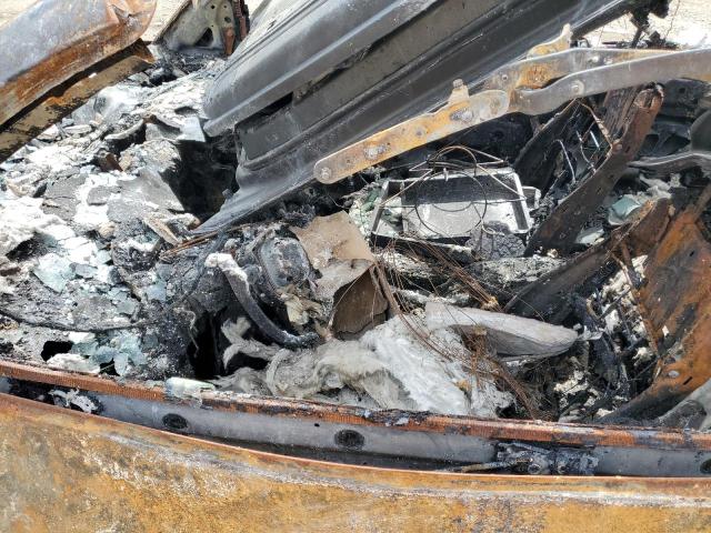 2004 Volkswagen New Beetle Gls VIN: 3VWCM31Y54M336301 Lot: 59276604