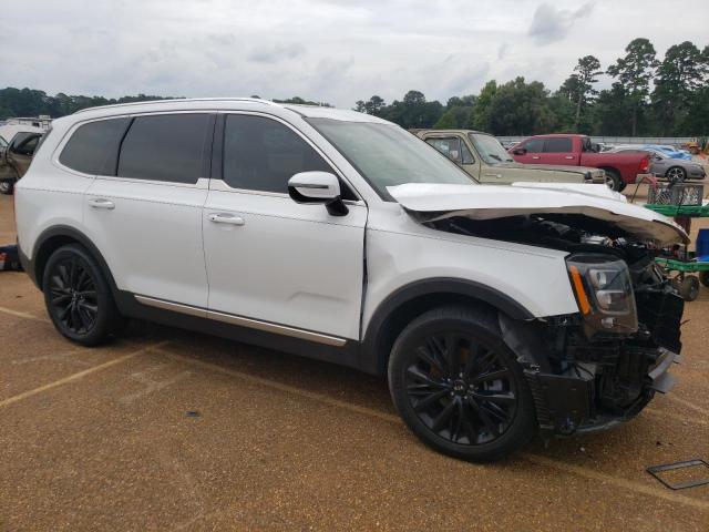 2020 Kia Telluride Sx VIN: 5XYP5DHC7LG045831 Lot: 59906684