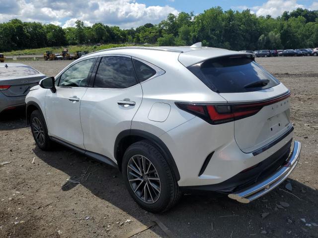 JTJGGCEZ7P5005564 2023 LEXUS NX - Image 2