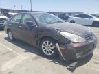 LEXUS ES 300 photo