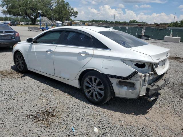 2011 Hyundai Sonata Se VIN: 5NPEC4ACXBH306688 Lot: 58125354