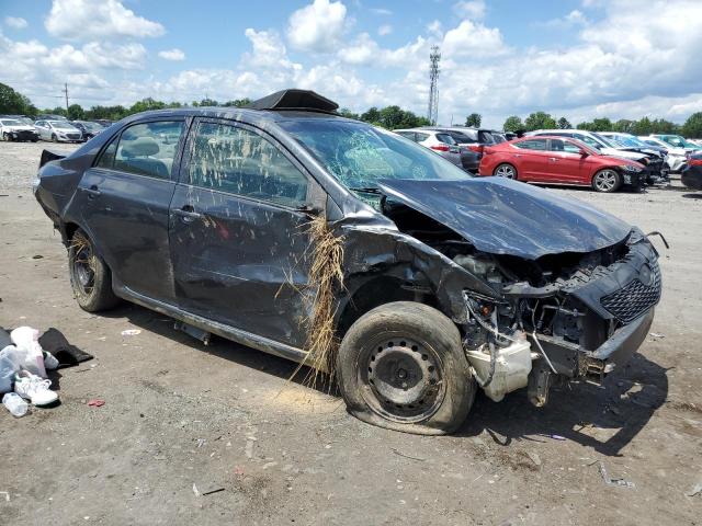 2010 Toyota Corolla Base VIN: 1NXBU4EE0AZ204831 Lot: 56857184