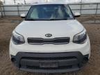 KIA SOUL photo